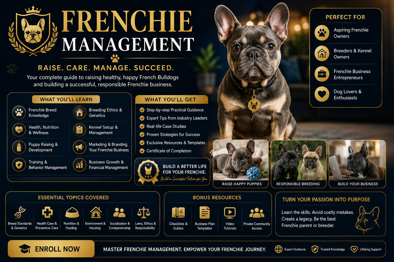 Frenchie Management